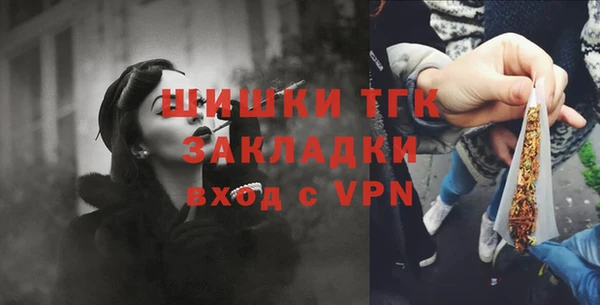 шишки Балабаново