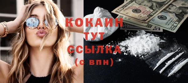 шишки Балабаново