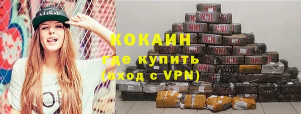 шишки Балабаново